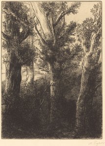 Niemiecki Las, Downley autorstwa Alphonse Legros