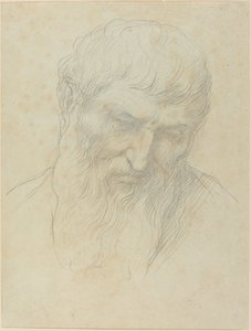 Głowa mężczyzny z kręconymi włosami i brodą. autorstwa Alphonse Legros