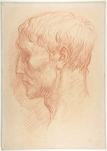 Głowa robotnika kamieniołomowego autorstwa Alphonse Legros