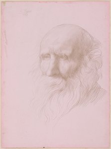 Głowa starego mężczyzny autorstwa Alphonse Legros