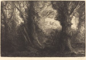 W lesie Conteville (Dans la foret de Conteville) autorstwa Alphonse Legros