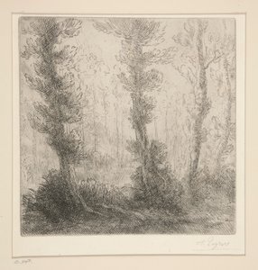 Małe jezioro autorstwa Alphonse Legros