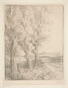 Kobieta czytająca: lekcja pod drzewami autorstwa Alphonse Legros