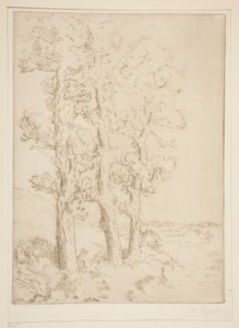 Kobieta czytająca: lekcja pod drzewami autorstwa Alphonse Legros