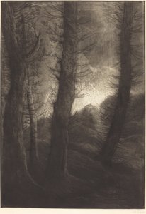 Duże drzewa widziane pod słońce Duże drzewa: efekt wieczorny. autorstwa Alphonse Legros