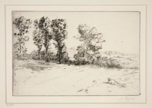Le pre ensoleille (Łąka w słońcu) autorstwa Alphonse Legros