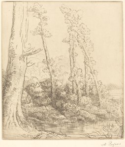 Mały Staw (La petite mare) autorstwa Alphonse Legros