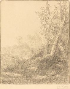 Stare Miasto Stare Miasto. autorstwa Alphonse Legros