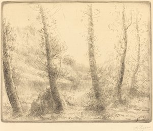 Małe jezioro autorstwa Alphonse Legros