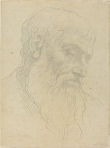 Studium głowy autorstwa Alphonse Legros