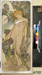 Iris (część serii kwiatów). Grafika autorstwa Alfonsa Marii Muchy (Alphonse Marie Mucha autorstwa Alphonse Marie Mucha