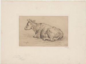 Leżąca krowa autorstwa Alphonse Stengelin (signed by artist)