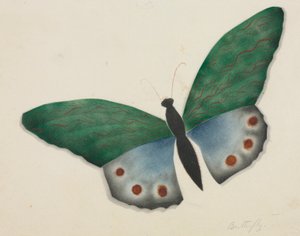 Motyl (akwarela) autorstwa Altha Mary Nims