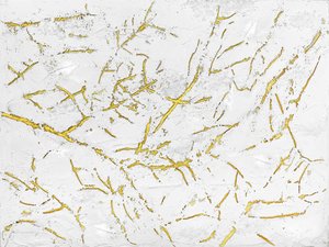  autorstwa Alyson Storms