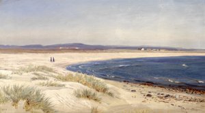 Norweski:  Mennesker på en strand Ludzie na plaży autorstwa Amaldus Nielsen