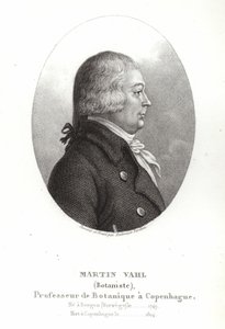 Martin Vahl autorstwa Ambroise Tardieu