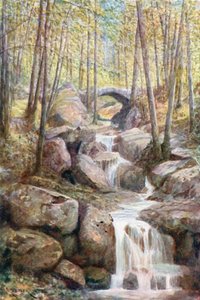 Pont du Prophete, Promenade Meyerbeer, Spa Woods (kolorowa litografia)