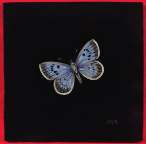 Duży niebieski motyl, 2000