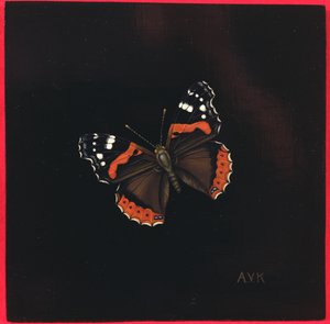 Czerwony motyl admirał, 2001