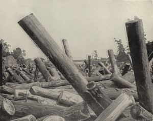 Log Jam w St Croix River, Wisconsin (zdjęcie czarno-białe) autorstwa American Photographer (after)