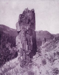 Skamieniałe drzewo na złych ziemiach Dakoty (zdjęcie czarno-białe) autorstwa American Photographer (after)