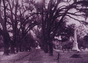 Cmentarz Bonawentury, Savannah, Gruzja (zdjęcie czarno-białe) autorstwa American Photographer (after)