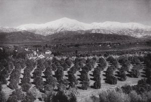 Kalifornia: Redlands, z Smiley Heights, słońce, gaje pomarańczowe i ośnieżone szczyty (zdjęcie czarno-białe) autorstwa American Photographer (after)