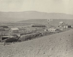 Ranczo koni w Montanie (zdjęcie czarno-białe) autorstwa American Photographer (after)