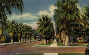 Phoenix, Arizona: North Central Avenue (zdjęcie) autorstwa American Photographer (after)