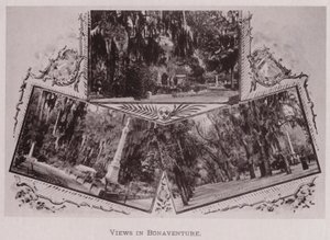 Widoki w Bonaventure (zdjęcie czarno-białe) autorstwa American Photographer (after)
