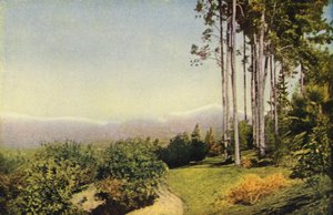 Krajobraz południowej Kalifornii w pobliżu Redlands (zdjęcie kolorowe) autorstwa American Photographer