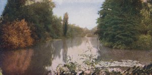 Chicago: Patrząc na Lagunę, Park Waszyngtona (zdjęcie kolorowe) autorstwa American Photographer