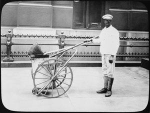City Street Cleaner, Filadelfia, ok. 1920 r. autorstwa American Photographer