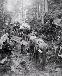 Wspinaczka szlakiem barwników w drodze do przełęczy Chilkoot podczas gorączki złota Klondike (1897-98) (zdjęcie czarno-białe) autorstwa American Photographer
