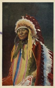 Niedźwiedź Pusty Róg, wódz Indian Sioux (zdjęcie) autorstwa American Photographer
