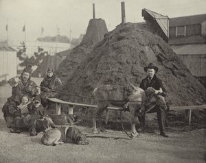 Widok wnętrza wioski Laponii autorstwa American Photographer