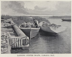 Landing Oyster Boats, Jamaica Bay (zdjęcie czarno-białe) autorstwa American Photographer