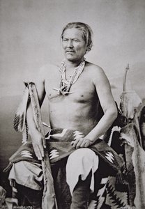 Manuelito (1818-93) naczelny wódz narodu Navajo 1870-84 autorstwa American Photographer