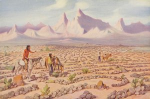 Mistyczny labirynt Indian Mojave w pobliżu Needles w Kalifornii (zdjęcie kolorowe) autorstwa American Photographer