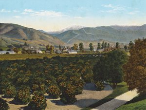 "Old Baldy" z Pomona Valley (zdjęcie kolorowe) autorstwa American Photographer