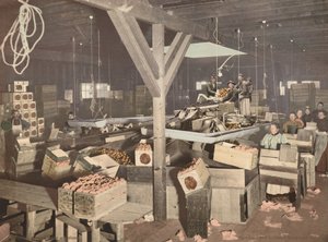 Pakowanie pomarańczy w Redlands, opublikowane w 1899 r. (zdjęcie) autorstwa American Photographer