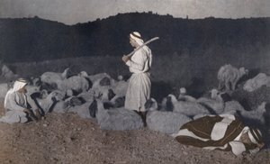 Palestyńscy pasterze obserwujący swoje stada nocą (zdjęcie kolorowe) autorstwa American Photographer