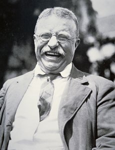 Prezydent Theodore Roosevelt, ok. 1917 (zdjęcie czarno-białe) autorstwa American Photographer