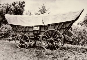 Szkuner prerii (zdjęcie czarno-białe) autorstwa American Photographer