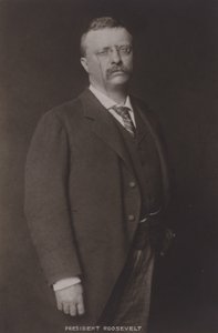 Theodore Roosevelt, 26 prezydent Stanów Zjednoczonych, 1904 autorstwa American Photographer