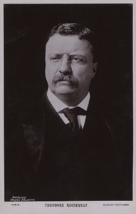 Theodore Roosevelt, amerykański polityk i 26. prezydent Stanów Zjednoczonych (zdjęcie czarno-białe) autorstwa American Photographer