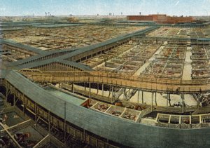 Union Stock Yards (kolorowe zdjęcie) autorstwa American Photographer