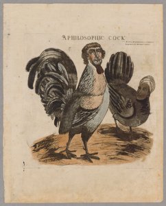 Kogut filozoficzny, 1804 autorstwa American School