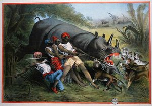 Polowanie na nosorożca (chromolitho) autorstwa American School