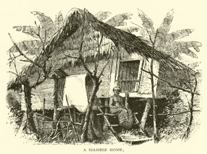 Dom syjamski autorstwa American School